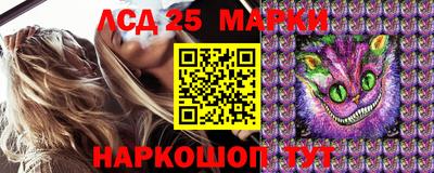 сатива Коммунар