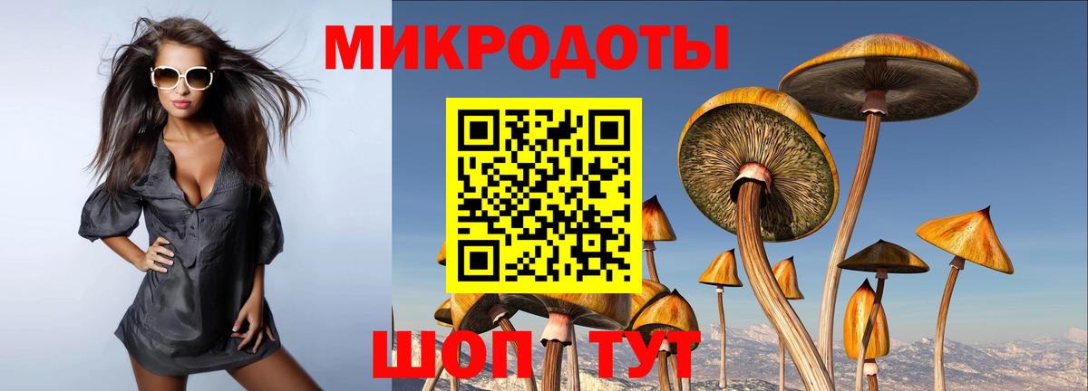 купить   Галлюциногенные грибы Cubensis  Галлюциногенные грибы мицелий  Вход с VPN  Ирбит 